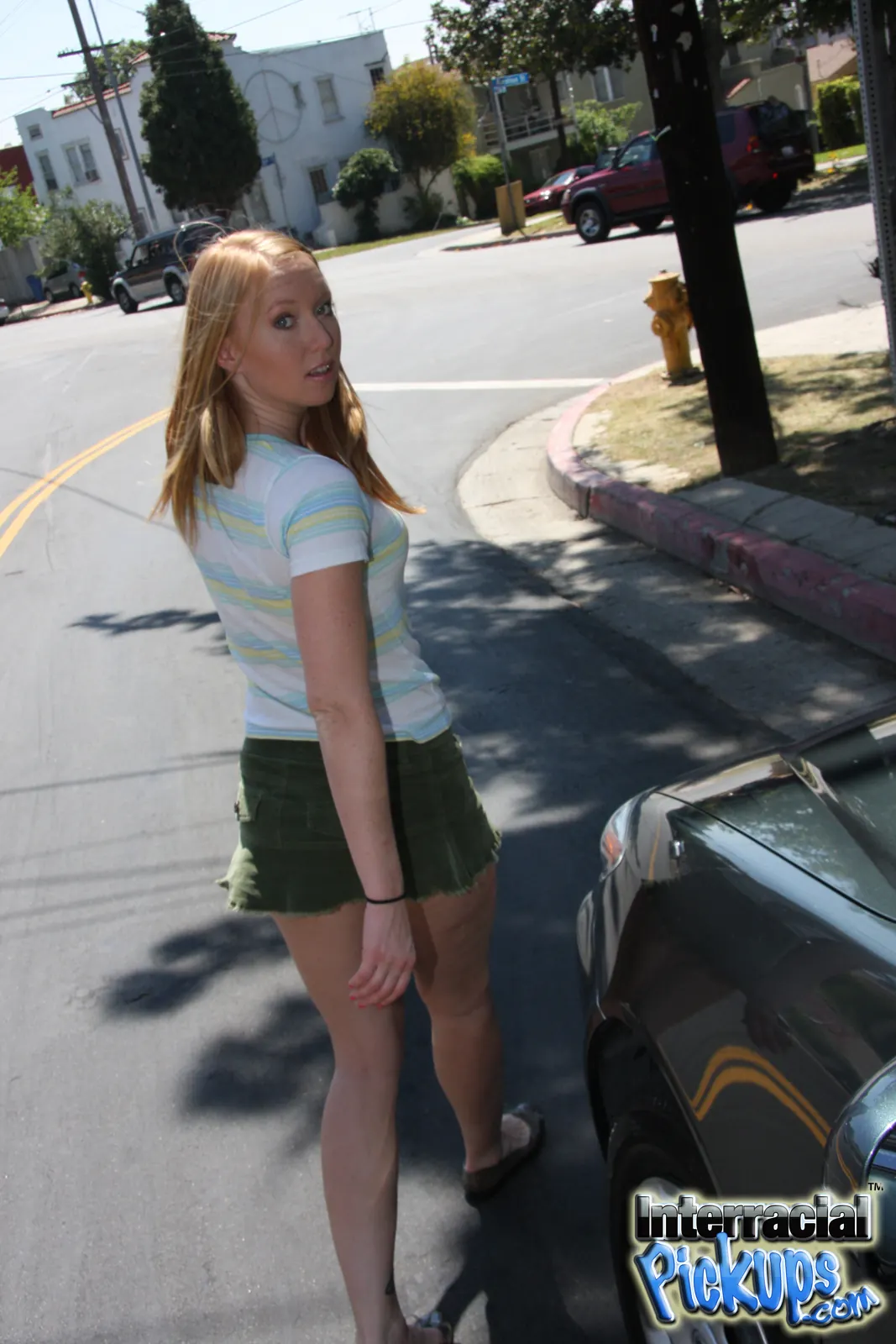 Dogfart '- Interracial Pickups' protagonizando Ami Emerson (foto 4)