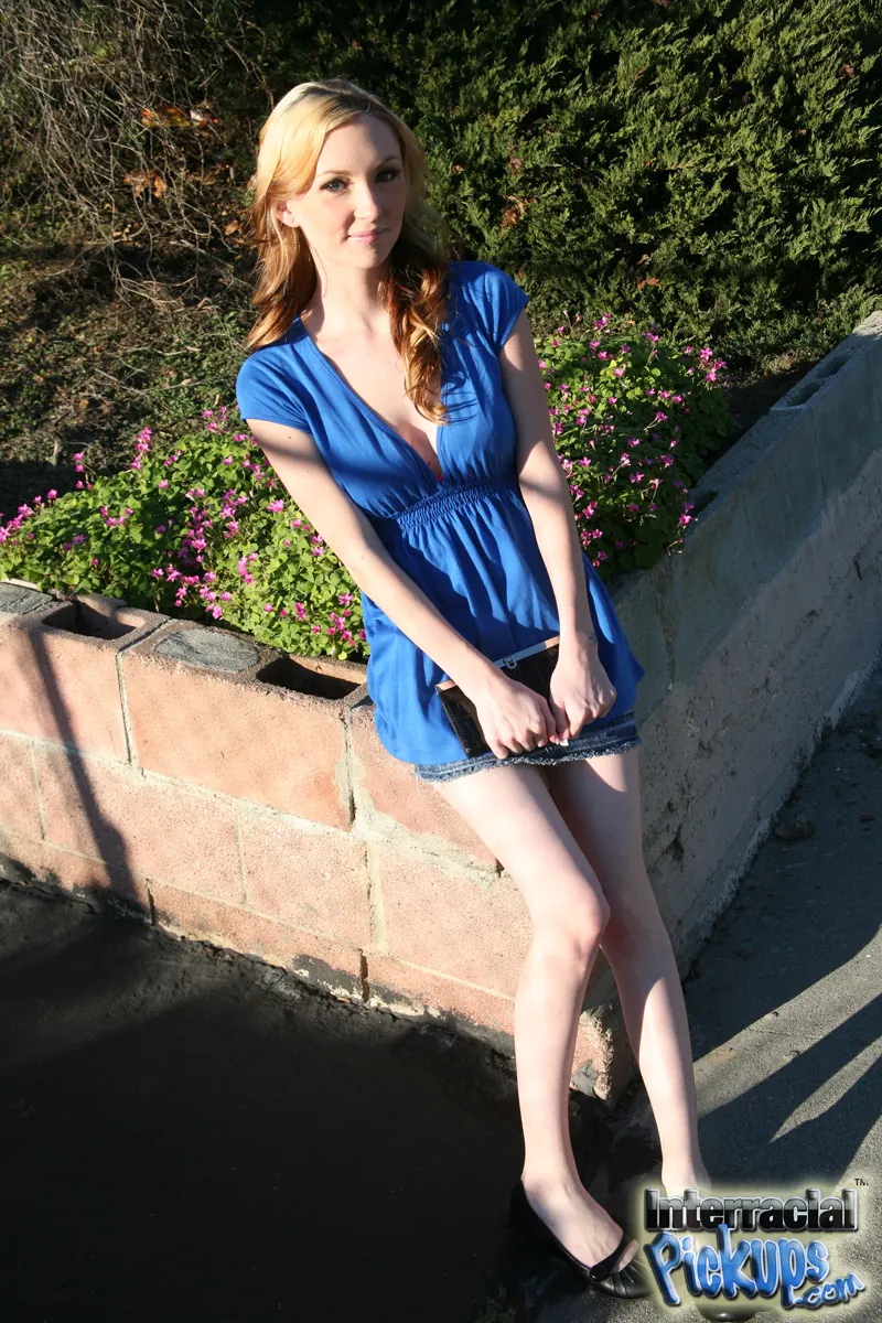 Dogfart '- Interracial Pickups' starring Amy Quinn (Photo 2)