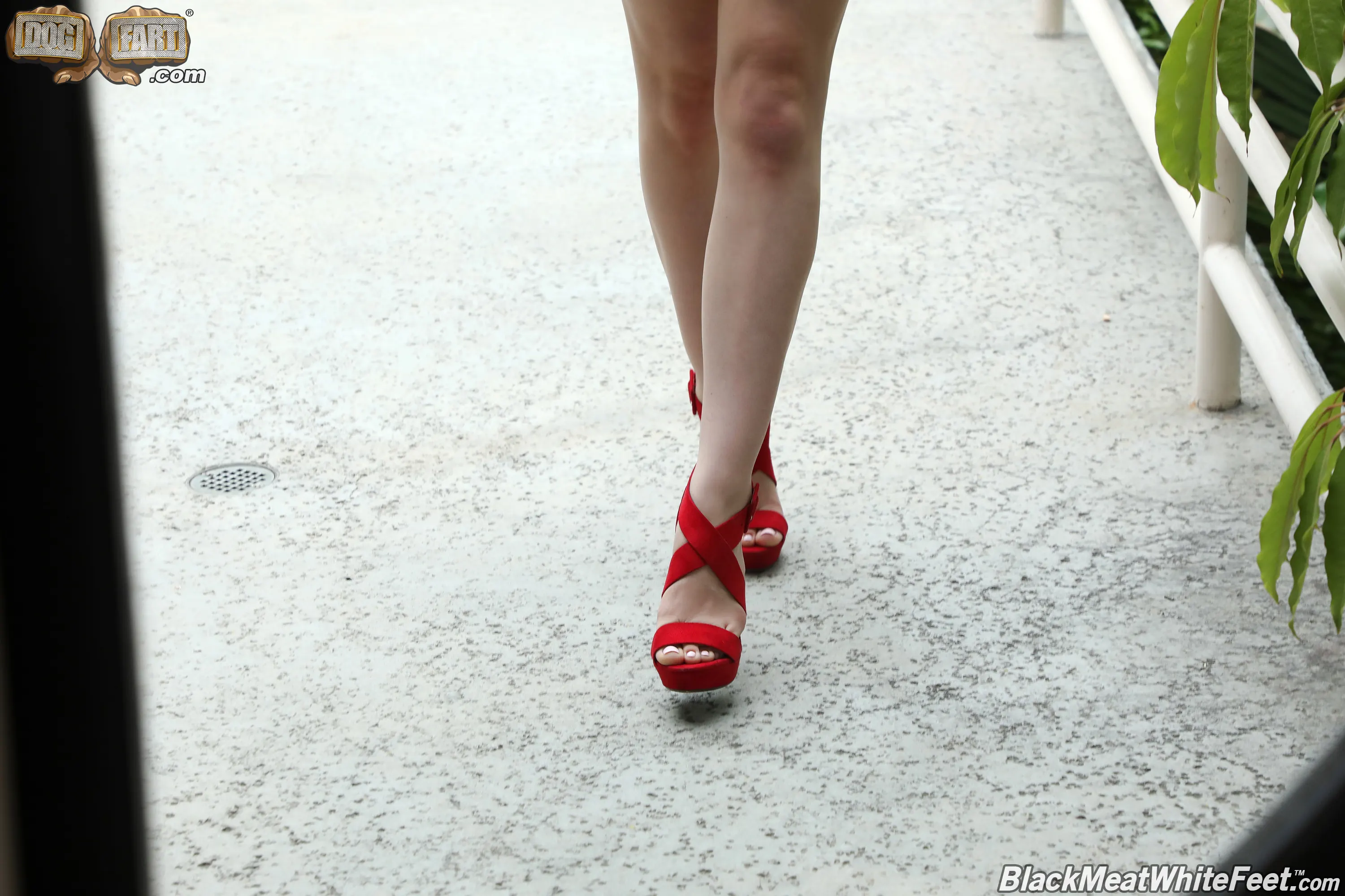 Dogfart '- Black Meat White Feet' starring Anna Claire Clouds (Photo 1)