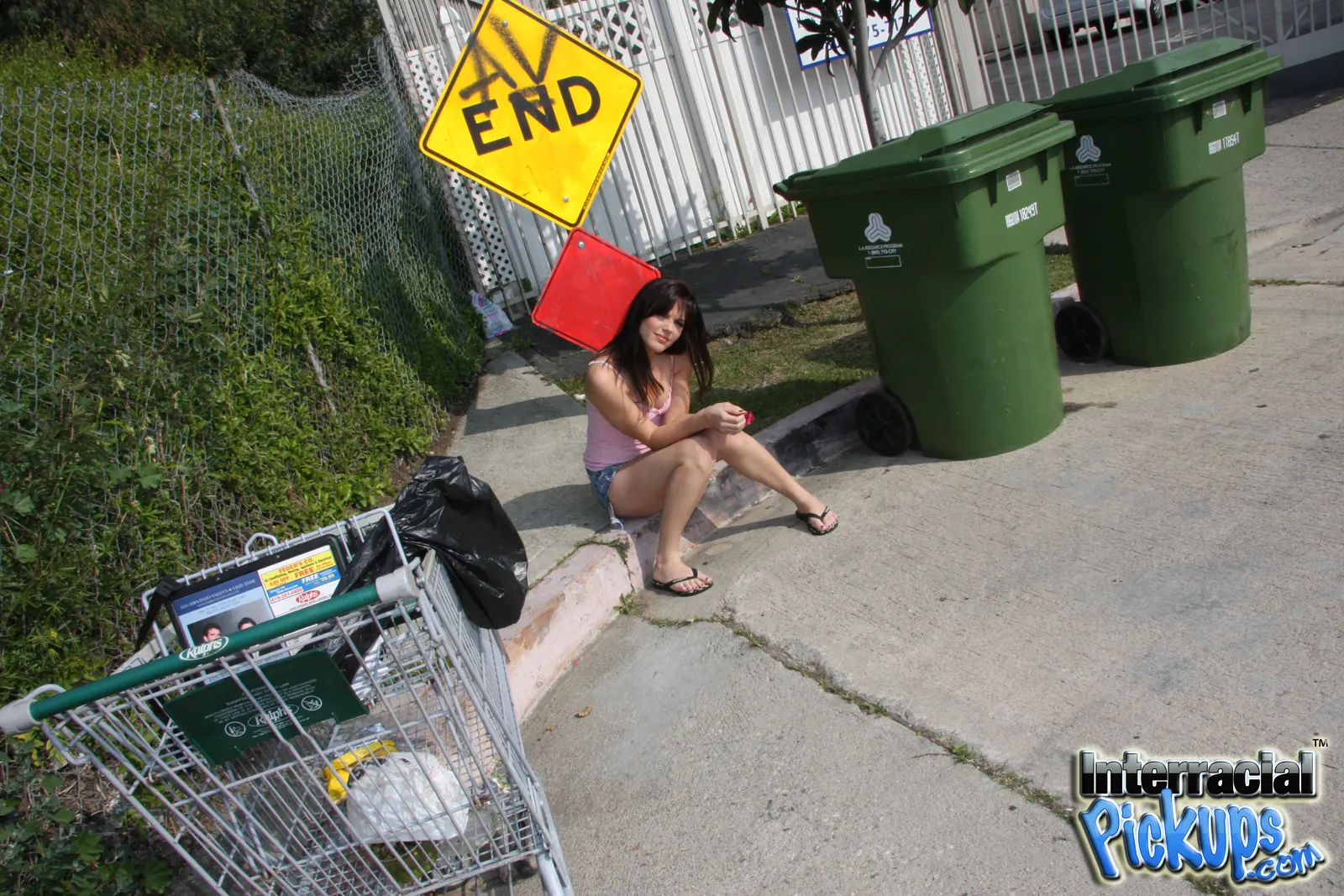 Bobbi Starr en '- Interracial Pickups' from 'Dogfart' (foto 1) Dogfart '- Interracial Pickups' protagonizando Bobbi Starr (foto 1)