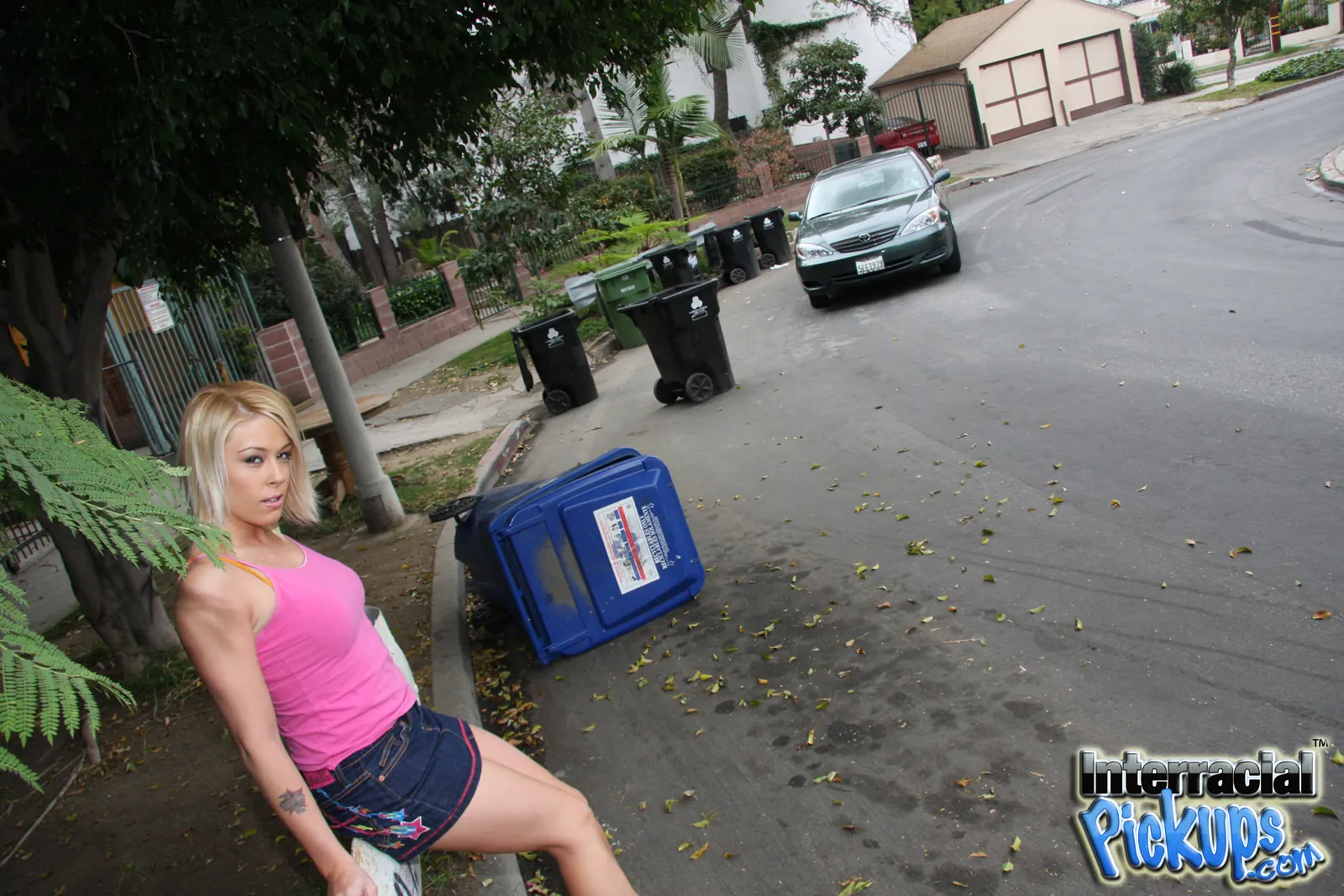 Dogfart '- Interracial Pickups' starring Brittany Angel (Photo 2)