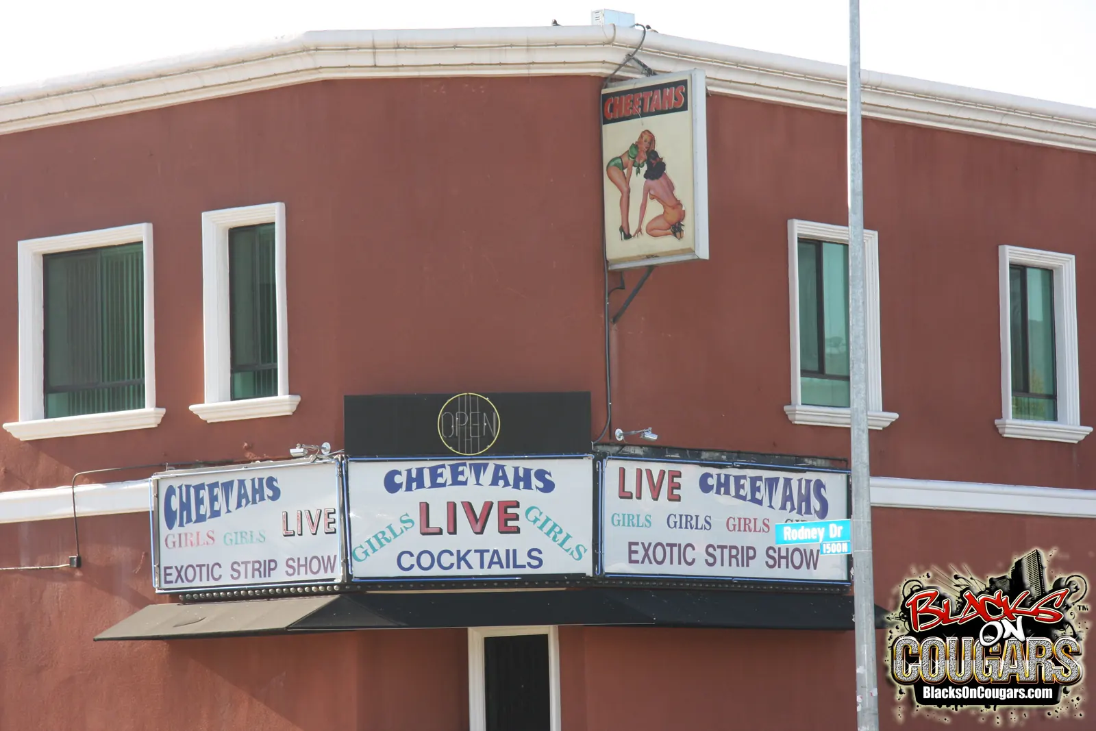 Dogfart '- Blacks On Cougars' protagonizando Cameron V (foto 2)