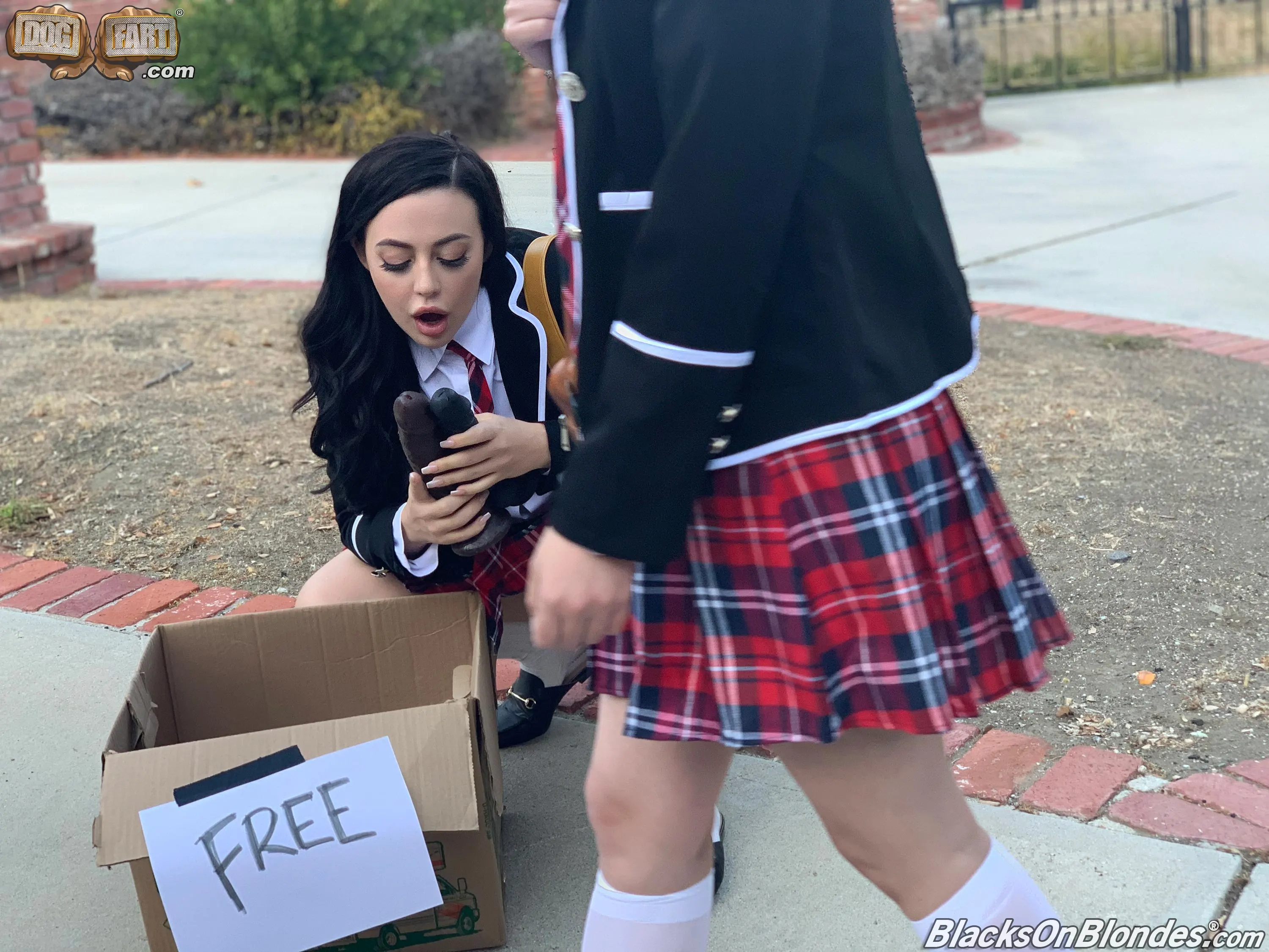 Dogfart 'and Whitney Wright - Blacks On Blondes' protagonizando Casey Calvert (foto 11)