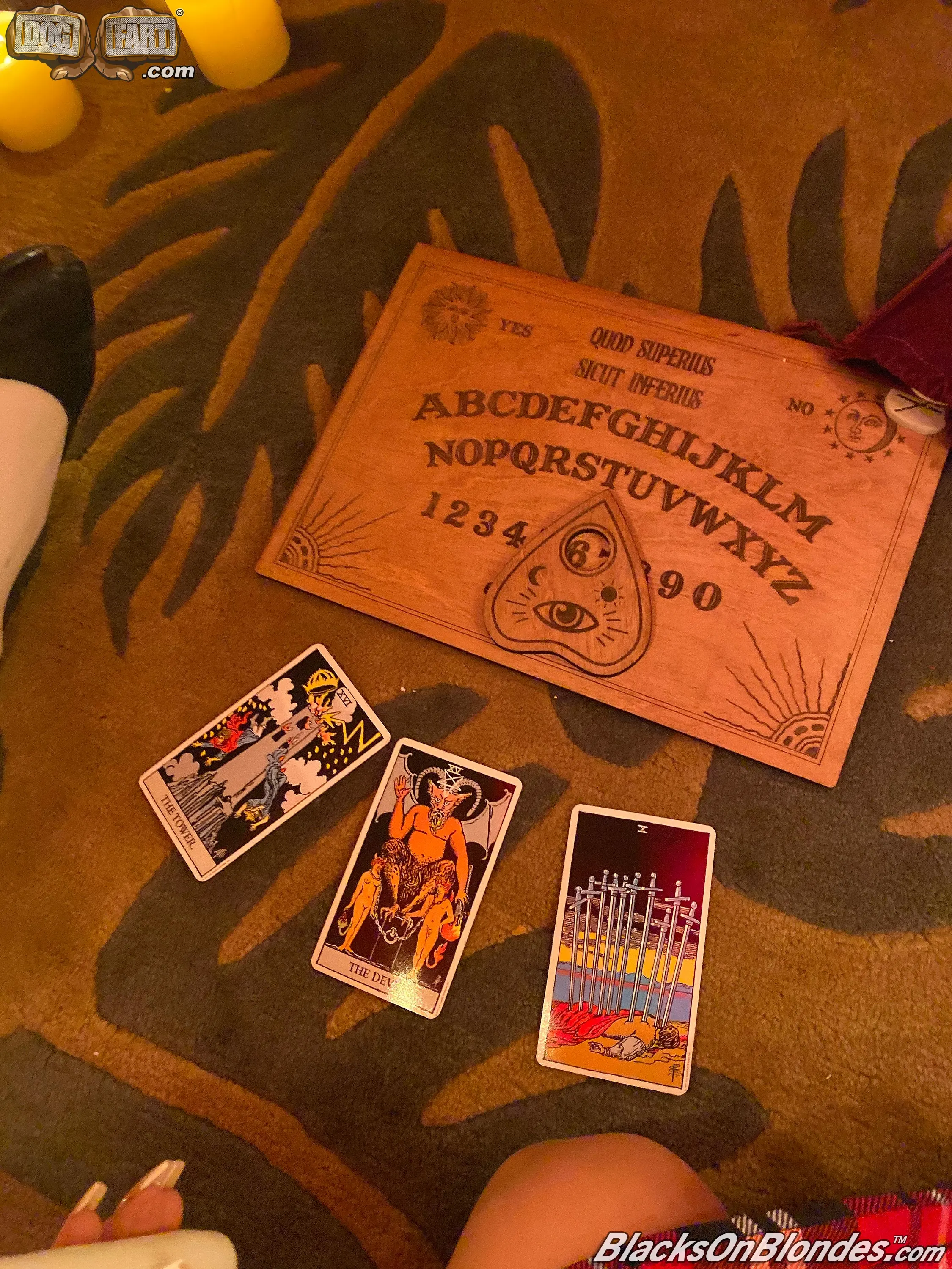 Dogfart 'and Whitney Wright - Blacks On Blondes' protagonizando Casey Calvert (foto 13)