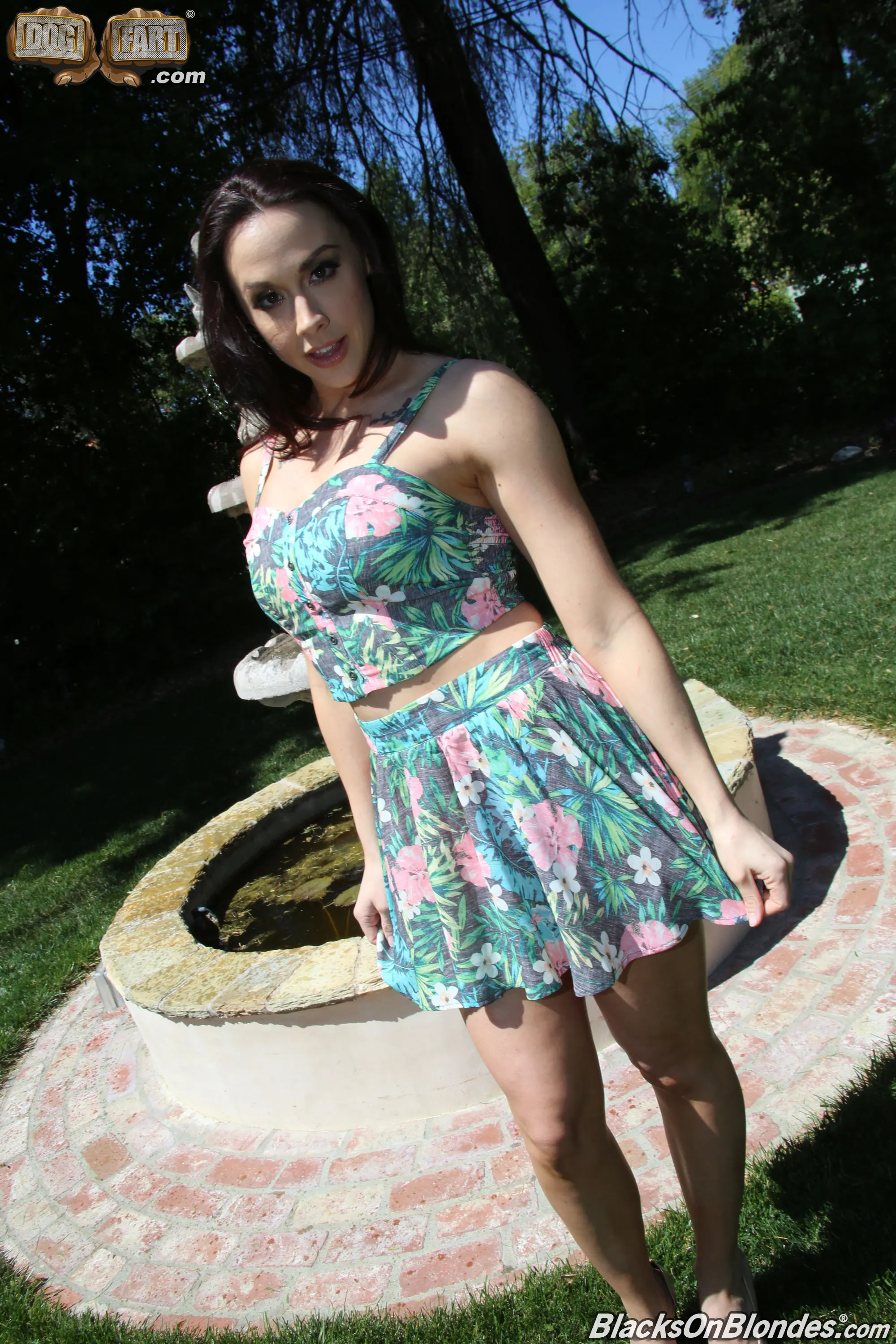 Dogfart '- Blacks On Blondes - Scene 3' starring Chanel Preston (Photo 1)