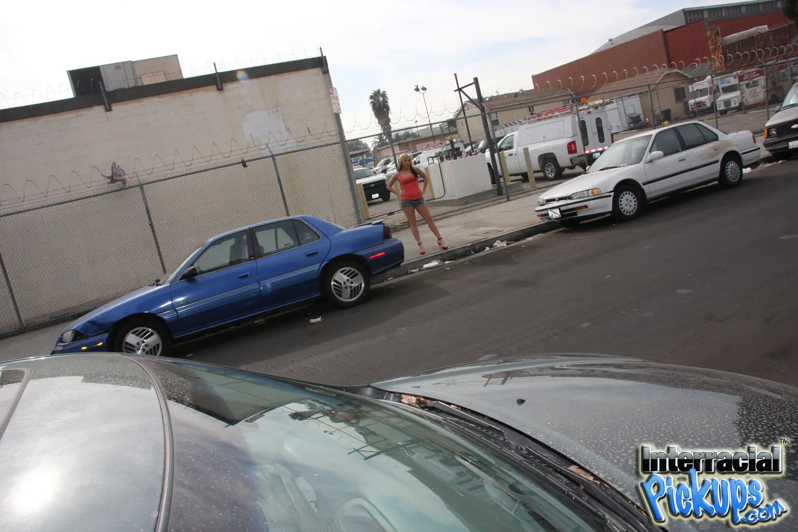 Chantell Merino in '- Interracial Pickups' from 'Dogfart' (Photo 3) Dogfart '- Interracial Pickups' starring Chantell Merino (Photo 3)