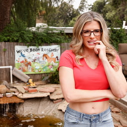 Cory Chase in 'Dogfart' Cory Chase's Community Service (Thumbnail 6)