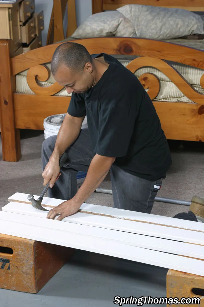 Dogfart 'Spring Thomas' protagonizando Spring Thomas (foto 1)