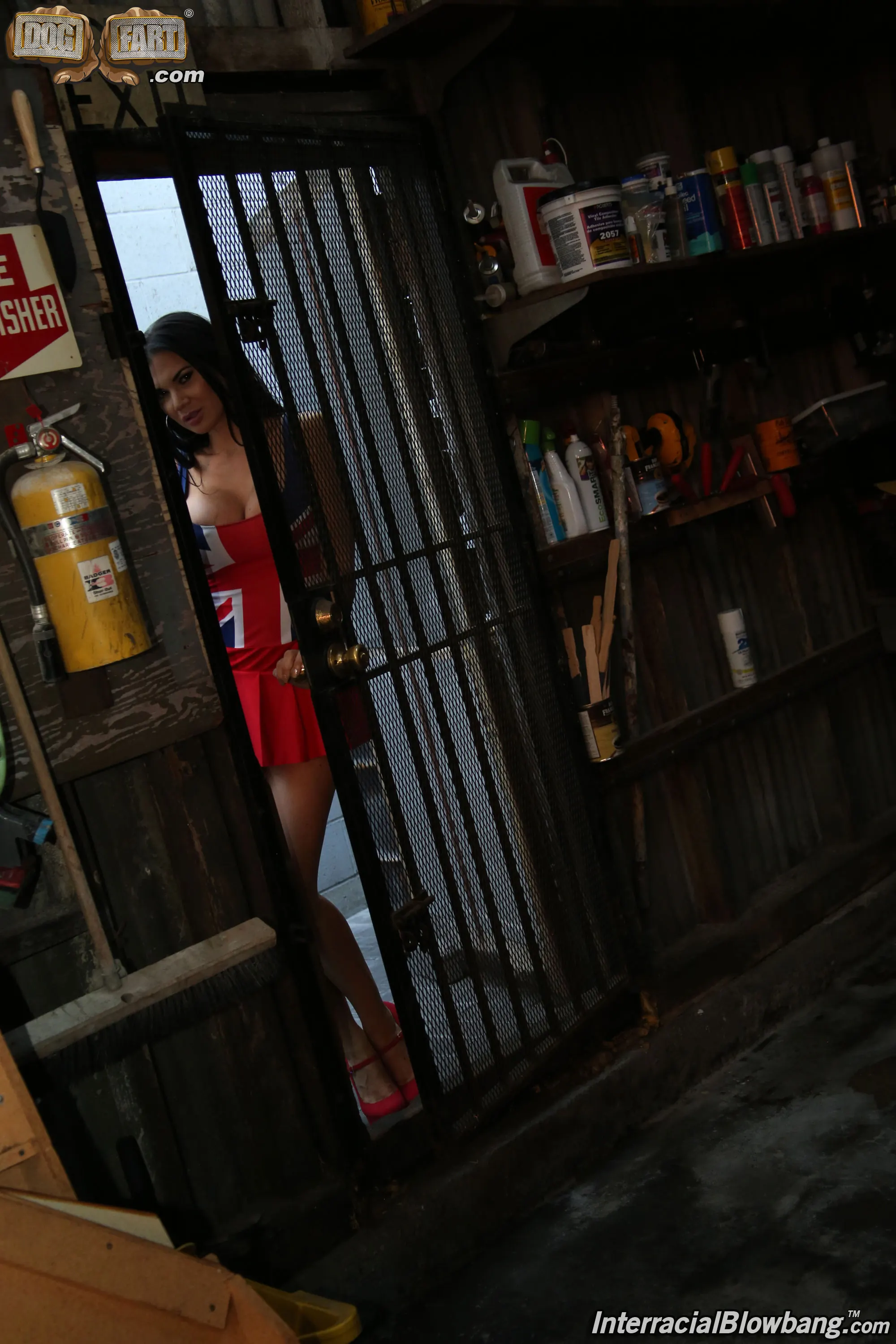 Dogfart '- Interracial Blowbang' starring Jasmine Jae (Photo 4)