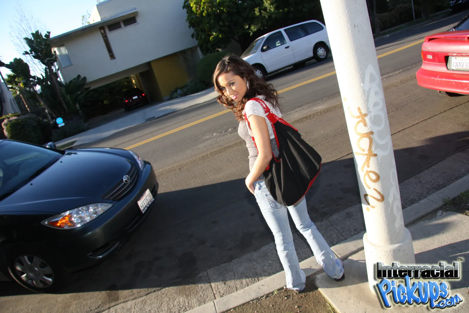 Dogfart '- Interracial Pickups' protagonizando Jessie Jordan (foto 3)