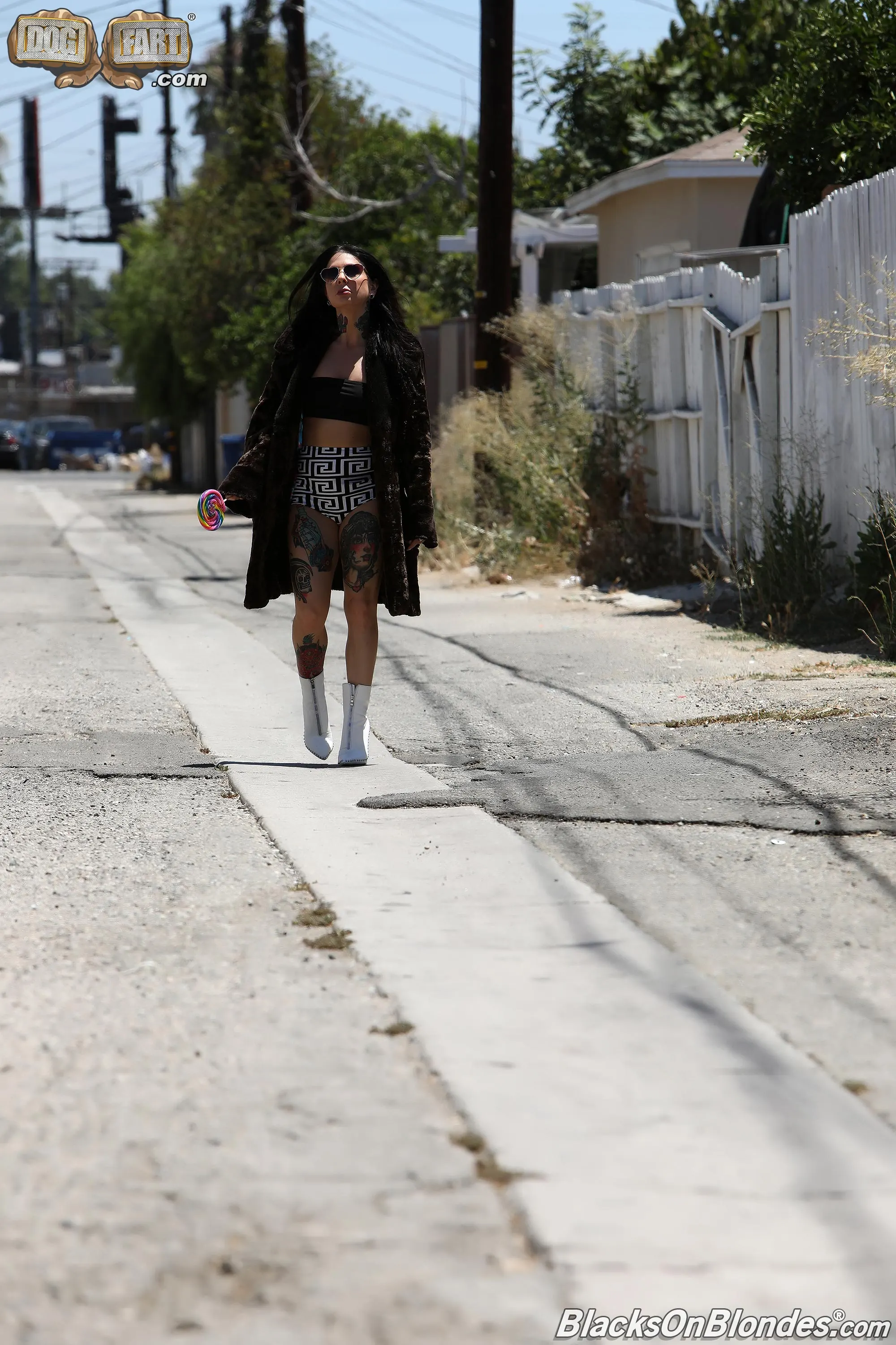 Dogfart '- Blacks On Blondes - Scene 2' starring Joanna Angel (Photo 7)