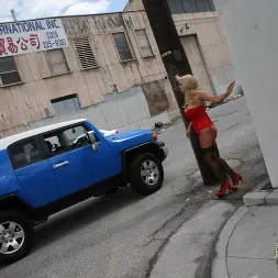 Karen Fisher in 'Dogfart' - Blacks On Cougars (Thumbnail 4)