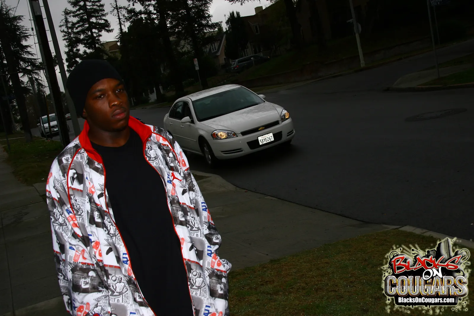 Dogfart '- Blacks On Cougars' starring Kylie Ireland (Photo 1)