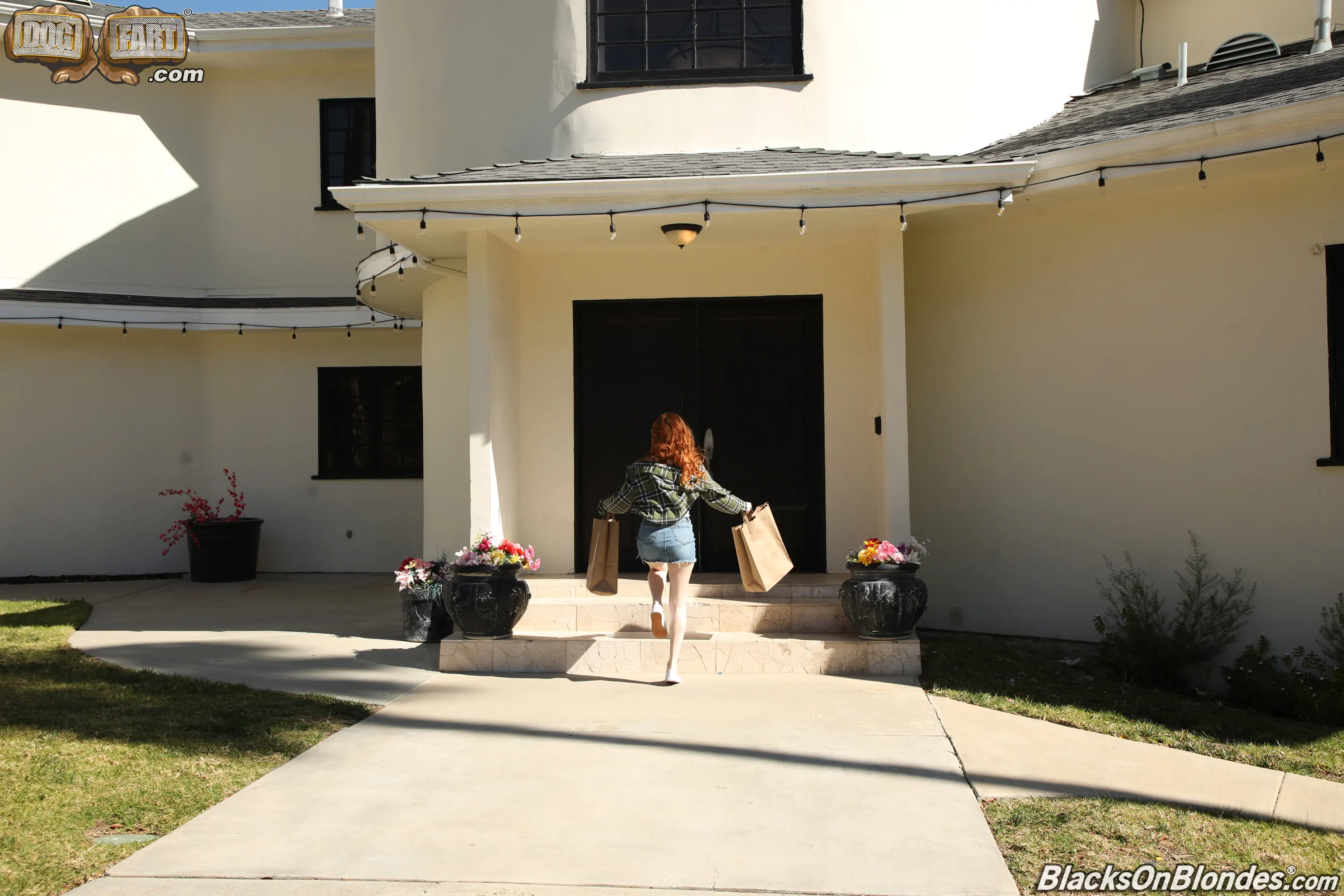 Dogfart '- Blacks On Blondes - Scene 2' starring Madi Collins (Photo 88)