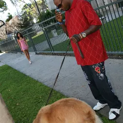 Missy Maze in 'Dogfart' - Blacks On Blondes (Thumbnail 1)
