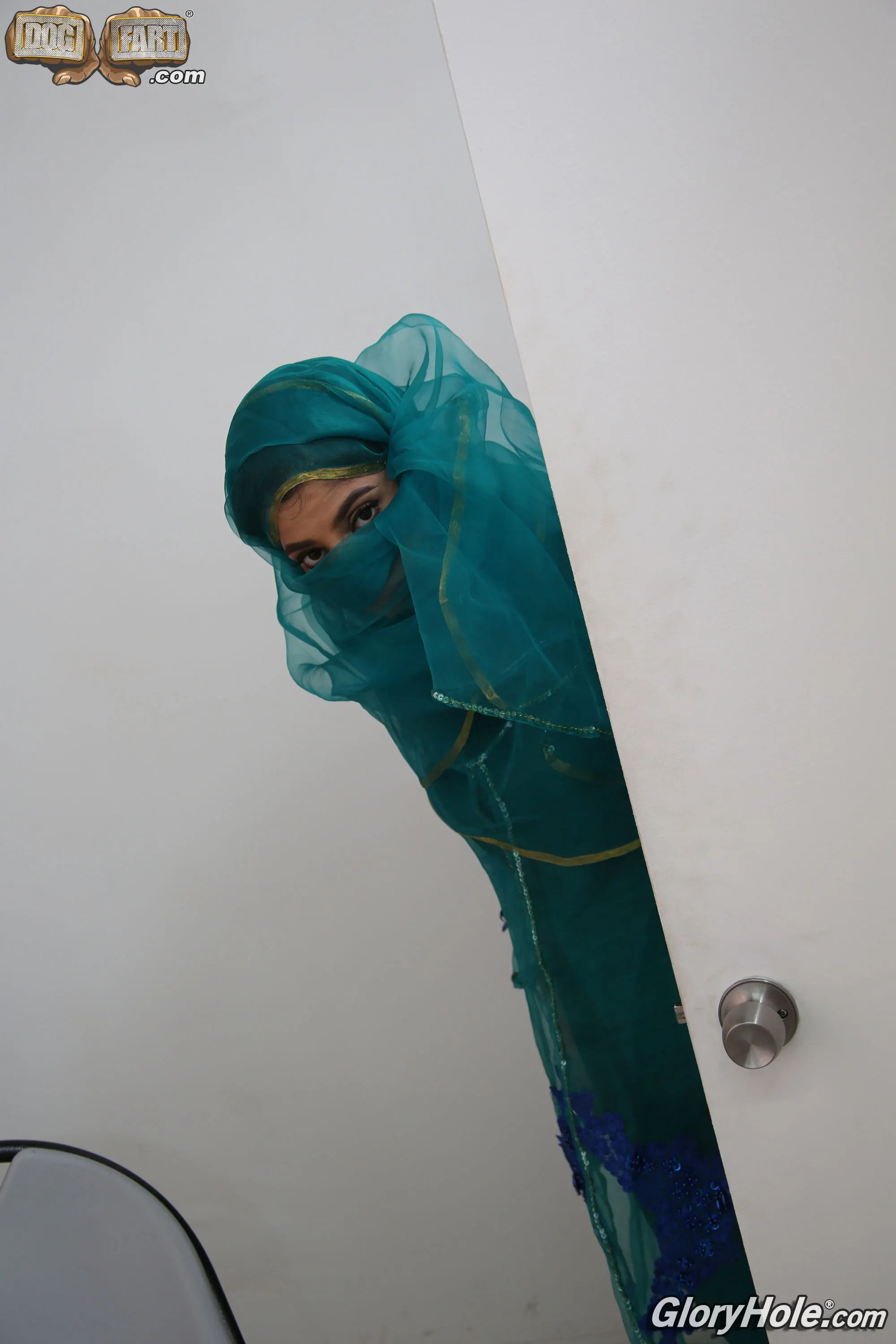 Dogfart '- Glory Hole' protagonizando Nadia Ali (foto 6)