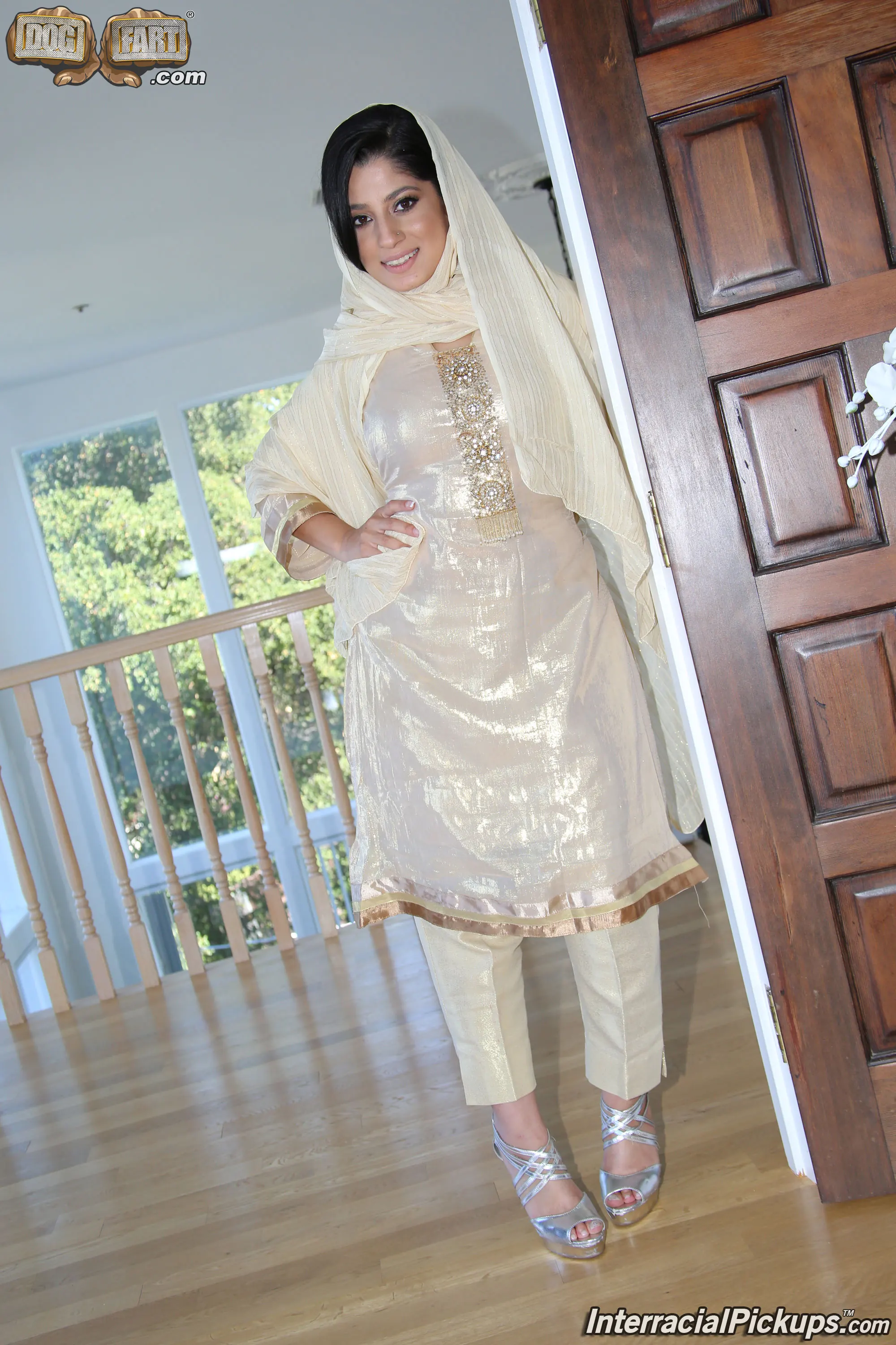 Dogfart '- Interracial Pickups' protagonizando Nadia Ali (foto 3)