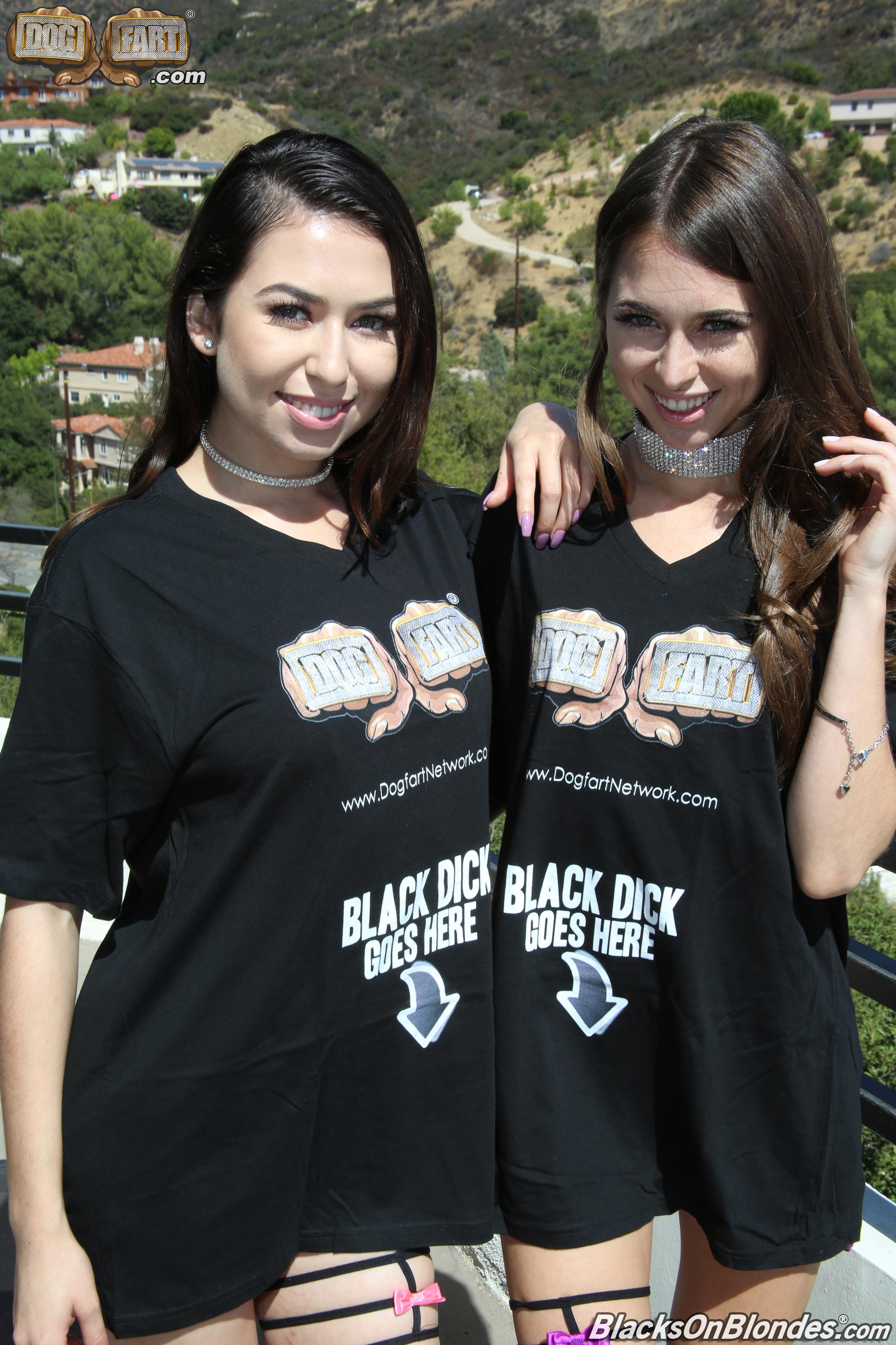 Dogfart 'and Melissa Moore - Blacks On Blondes' starring Riley Reid (Photo 2)