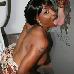 Sincere in 'Dogfart' - Glory Hole Initiations (Thumbnail 17)