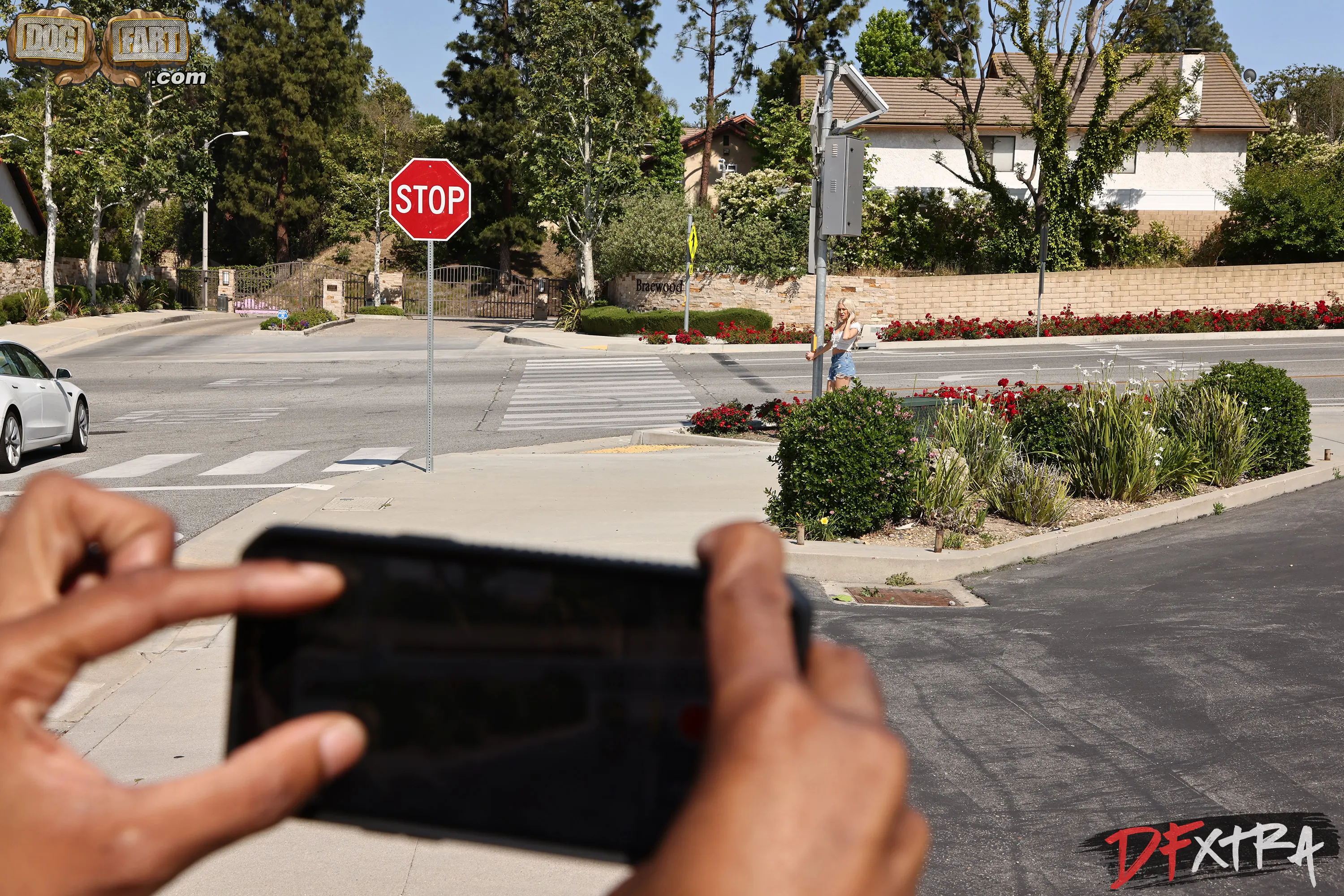 Dogfart '- Interracial Pickups' starring Skyler Storm (Photo 72)