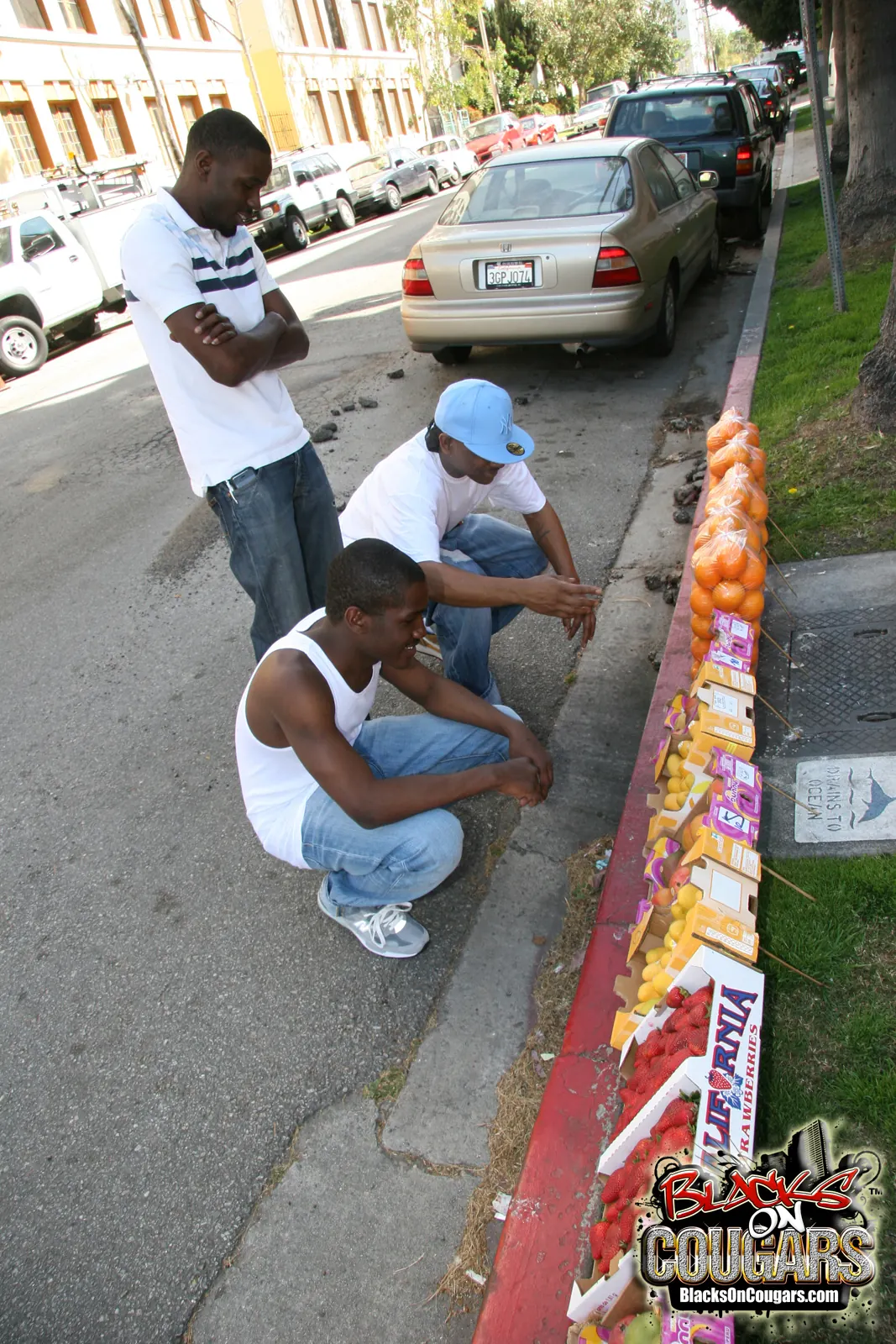 Dogfart '- Blacks On Cougars' starring Syren Demer (Photo 1)